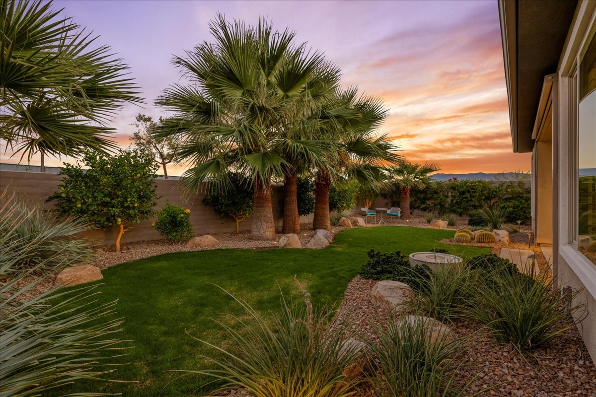 14 Cuvee A green lawn surrounded by palm trees and shrubs, with sunset colors in the sky.